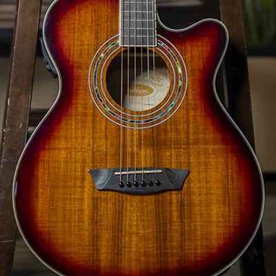 Washburn Festival EA55G Koa Burst image 5