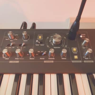 Waldorf STVC String Synthesizer / Vocoder 2018 - Present - Black image 5