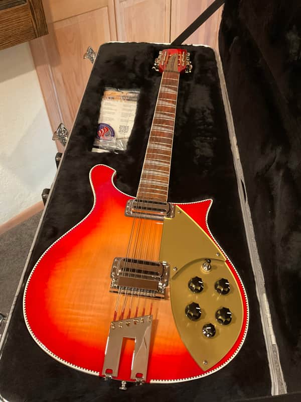 Rickenbacker 660/12