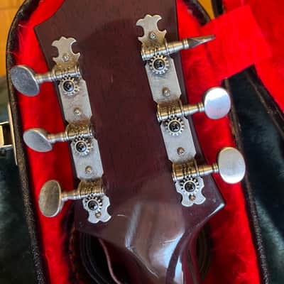 Epiphone FT-145 1970s image 7