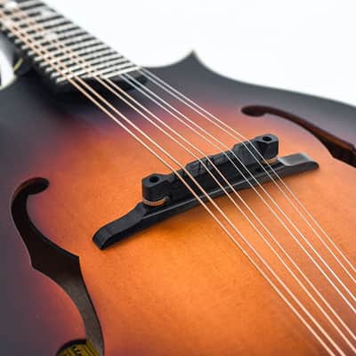 Eastman MD315E Sunburst image 7