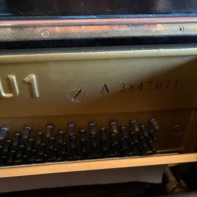 Yamaha A3847071 1985 - Ebony image 8