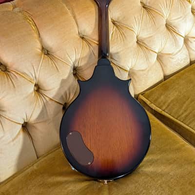 Gibson EM200 1963 - Sunburst image 13