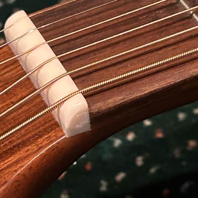 Washburn Bella Elegante S24S Solid Spruce Top Parlor Size Acoustic Guitar image 17