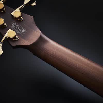Ibanez SR4505-DST Prestige SR Electric Bass 5-String - Desert Sunset Burst + Case image 23