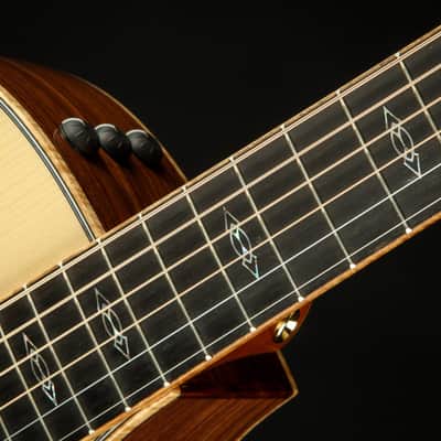 2023 - Taylor Custom GA - Honduran Rosewood/Adirondack image 9