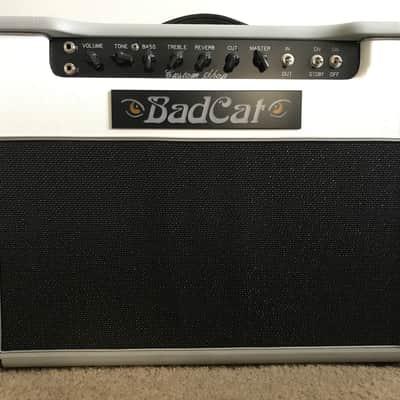 Bad Cat Cub II Custom Shop 2007 Grey/White image 1