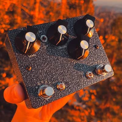 Build Your Own: Dual Rangemaster / Fuzz Face image 2