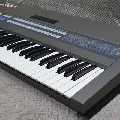Roland JX-8P ✅ Classic 80s Analog Icon ✅ Definitive Warm Polyphonic Power ✅ Fully Checked & Cleaned ✅ Home of the Legendary Soundtrack Preset ✅ Worldwide Shipping image 10