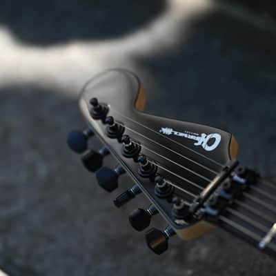 Charvel Custom Shop USA Special Edition SO Cal - Zebra image 12