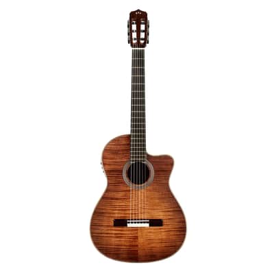 Cordoba Fusion 12 Nylon String Acoustic-Electric Guitar - Cinnamon Burst image 2