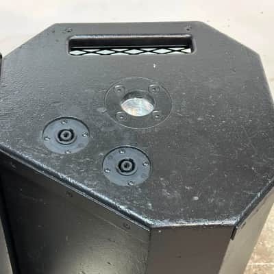 Apogee Sound AE-3Ms2 10" 2-Way Stage Monitor Loudspeaker #7137 (PAIR) THS image 4