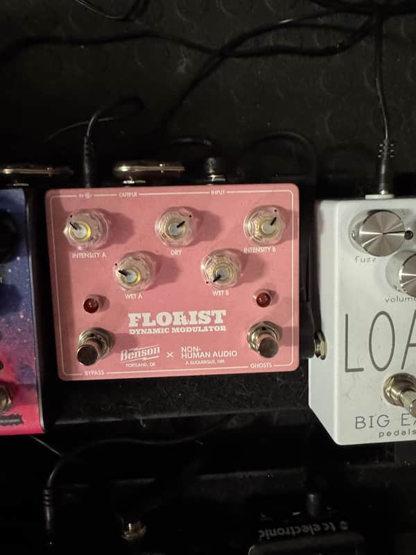 Benson Amps / Non-Human Audio Florist Dynamic Modulator