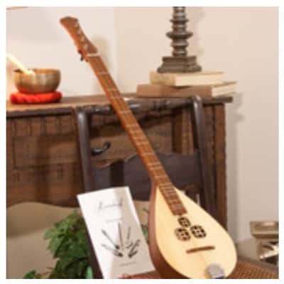Roosebeck DMWR | Wildwood Dulcimer Rosewood with 3 Round Openings, Flat Pegbox New with Full Warranty! image 10