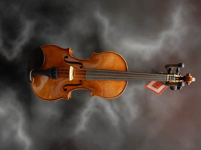 Carlo Robelli VYOUNGMII Young Master 4/4 Full-Size Violin Outfit image 1