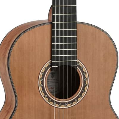 Manuel Rodriguez Tesoro de Camerún Limited Edition Solid Cedar Top & Cedar Neck 6-String Classical Acoustic Guitar w/Hard Case & Footrest image 9