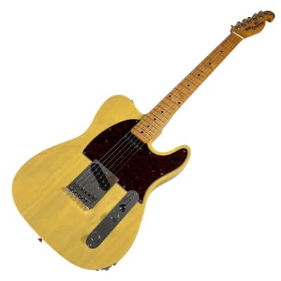 Bill Lawrence SwampKaster T image 2