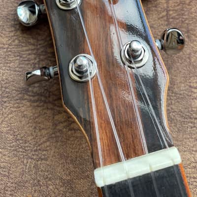 Snail SUC-M3  2025 - Gloss Workshop repair Ref no 149 Bild 6