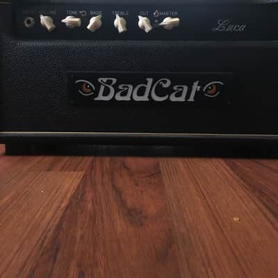 Bad Cat Luca image 1