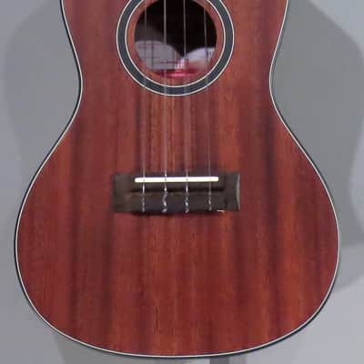Kala KA-SMHC Classic Solid Mahogany Concert image 2
