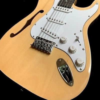 STRAT STYLE SEMI-HOLLOW 12 STRING ELECTRIC GUITAR image 2