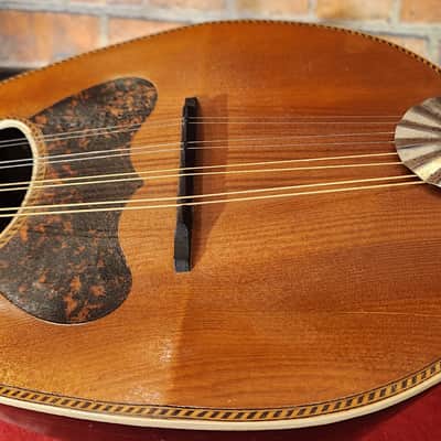 Project Bowl-Back Mandolins - Luthier Special - BRAZILIAN ROSEWOOD BACKS image 7