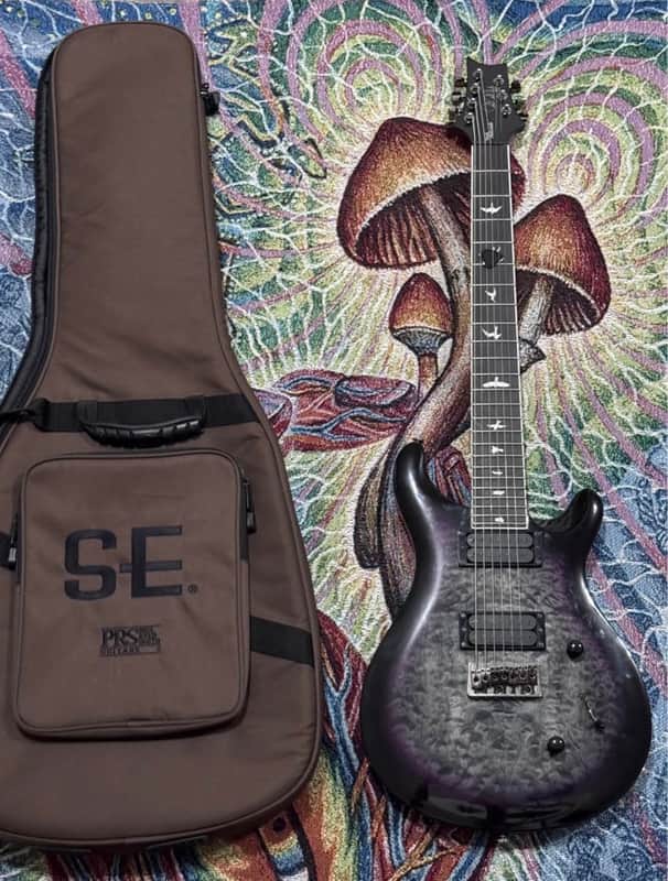 PRS SE Mark Holcomb