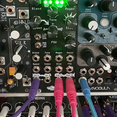 Noise Engineering Desmodus Versio | Reverb