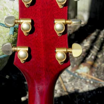Epiphone E212TV Sheraton “Special Order” 1967 See Thru Cherry image 6