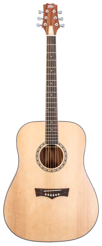Peavey DELTA WOODS DW-2 SOLID TOP DREADNOUGHT ACOUSTIC GUITAR WITH CASE image 1