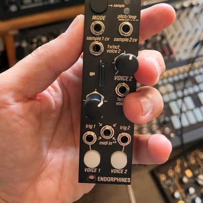 Endorphin.es TWO OF CUPS M/MIDI 2026 - Black image 1