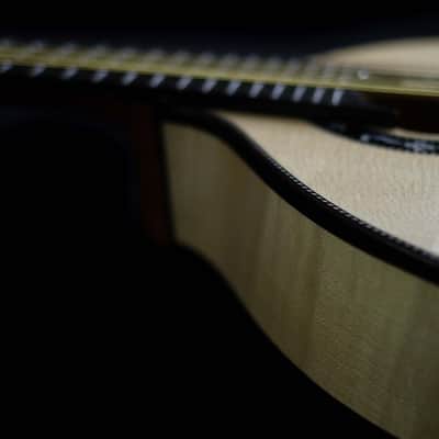 Pedro Santos 10-String Mandolin with VS Tuners | Brazil (Dudu Maia Model) image 5