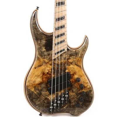 Dingwall  Z2 5 String Bass image 9
