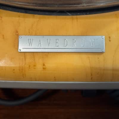 RARE Korg Wavedrum WD-1 image 3