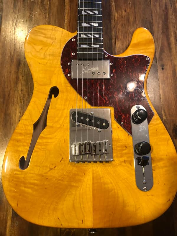 Vibratone Tele owned by Luther Dickinson image 1