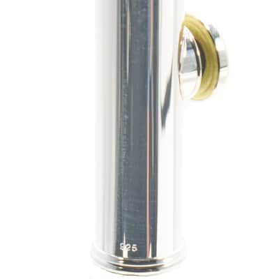 Azumi AZ3SRBEO-C Professional Solid Silver Flute SN ED05654 image 15