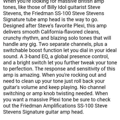 Friedman SS-100 Steve Stevens Signature 2-Channel 100-Watt Guitar Amp Head with Boost 2013 - 2021 - Black image 12