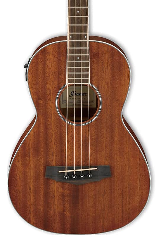 Ibanez PNB14E 4-String Acoustic Electric Parlor Bass - Open Pore Natural image 1