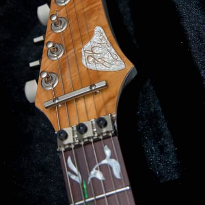GB Liuteria Custom Boutique Ergal 6 string jem edition image 8