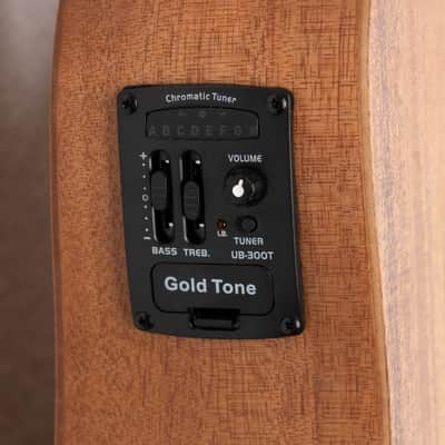 Gold Tone GT Series Micro Bass image 5