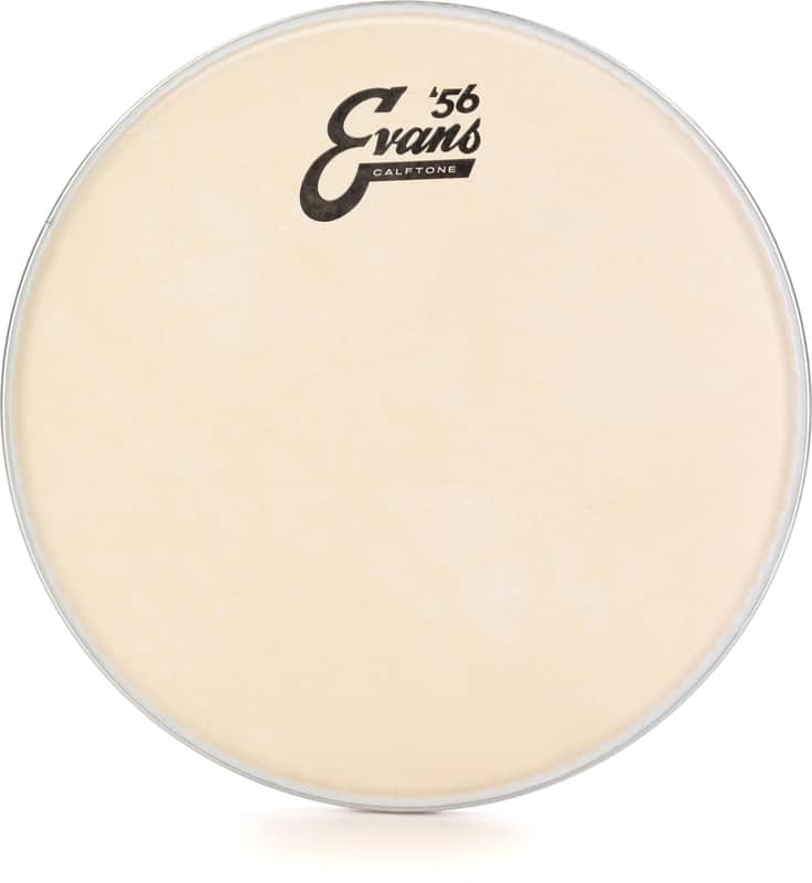 Evans Calftone Drumhead - 10 inch (5-pack)