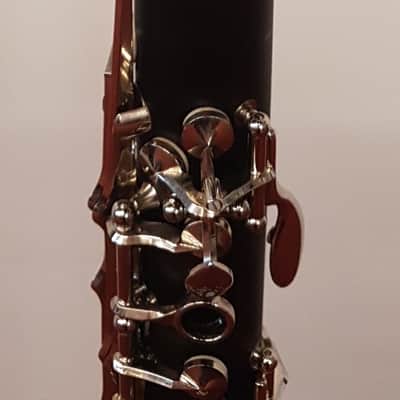 Kurioshi Vivace image 6