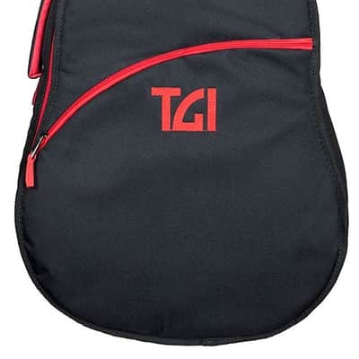 TGI GIGBAG ELECTRIC TRANSIT SERIES. image 4
