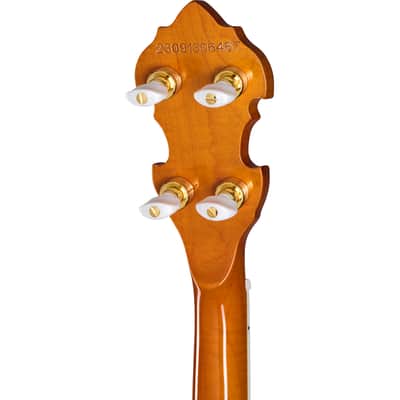 Epiphone Earl Scruggs Golden Deluxe Banjo - Vintage Sunburst image 6