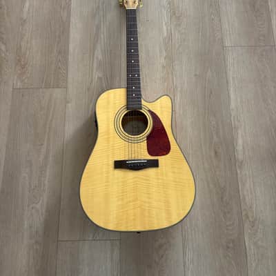 Fender Acoustic Electric DG-22 image 1