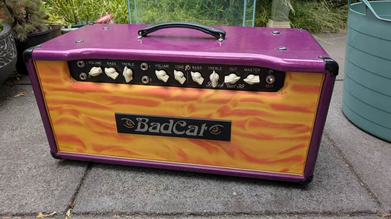 Bad Cat Black Cat Purple Glitter 2007 30w Head image 1