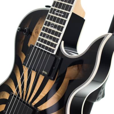 Wylde Audio Odin Grail 2026 Buzzsaw Charcoal Burst 4228gr image 7