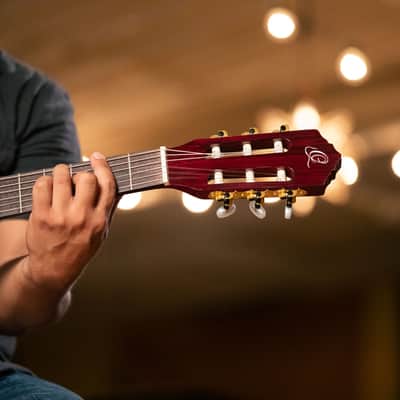 Ortega R131SN-WR Family Series Pro Solid Cedar Top Mahogany Neck Nylon 6-String Classical Acoustic Guitar w/Gig Bag image 22
