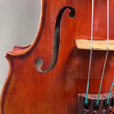 New Pietro Lombardi 502 16" Viola image 4
