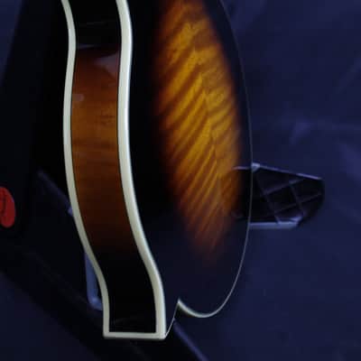 Loar LM-600 Carved Top Mandolin NEW OLD STOCK Mint Condition W/Gigbag image 10